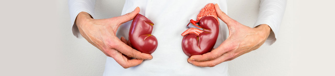 Living Organ Donation | Virginia Mason Medical Center, Seattle, WA